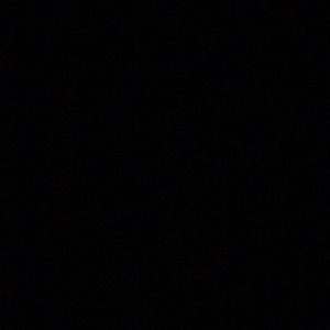 Meet your Posher, Carmen